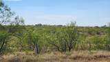 32+ acres Lake Stamf Fm 600 - Photo 23