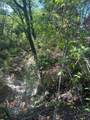 TBD Rochelle Cannon Road - Photo 11
