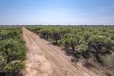 TBD 90 Hwy 67-84 - Photo 21
