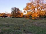 975 County Road 412 - Photo 39