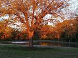 975 County Road 412 - Photo 40