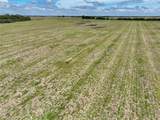 TBD 90.2 acres Fm 308 - Photo 12