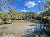 TBD 93.8&Acirc;&plusmn; acres Co Rd 3310 - Photo 14