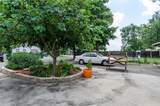 102 Mesquite Street - Photo 8