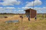 2055 County Road 2185 - Photo 15
