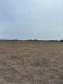 0 An County Road 117 - Photo 6