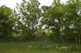 TBD Lot 2 Rs County Road 1520 - Photo 12