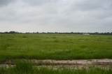 TBD Lot 2 Rs County Road 1520 - Photo 4