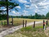 3269 An County Road 153 - Photo 36