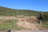 TBD T3 Hwy 208 - Photo 13