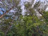 3 Big Hill Fire Tower Road - Photo 9