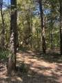 TBD Highway 69 - Photo 25