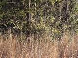 Lot 20 Sunrise - Photo 20