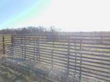 12436 County Road 134 - Photo 10