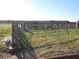 12436 County Road 134 - Photo 11