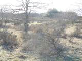 12436 County Road 134 - Photo 18