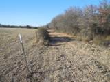 12436 County Road 134 - Photo 29