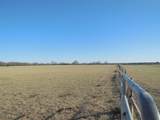 12436 County Road 134 - Photo 32