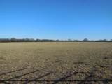 12436 County Road 134 - Photo 33