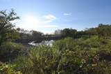 1811 Highway 570 - Photo 24