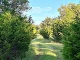 391 County Road 411 - Photo 21