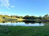 391 County Road 411 - Photo 24
