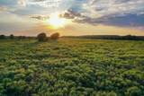 99.97 Acres 281 Highway - Photo 10