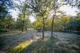 99.97 Acres 281 Highway - Photo 15