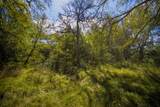 99.97 Acres 281 Highway - Photo 28