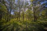 99.97 Acres 281 Highway - Photo 29