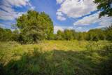 99.97 Acres 281 Highway - Photo 32