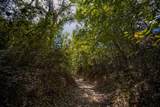 99.97 Acres 281 Highway - Photo 36