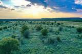99.97 Acres 281 Highway - Photo 4