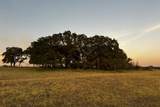 TBD Fm 2383 - Photo 18