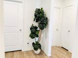 5223 Lavender Drive - Photo 8