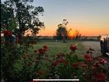 849 County Road 4130 - Photo 1