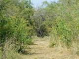 451 Hcr3335 Road - Photo 14