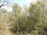 451 Hcr3335 Road - Photo 16