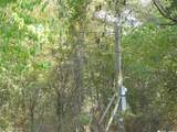 451 Hcr3335 Road - Photo 17