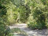 451 Hcr3335 Road - Photo 2