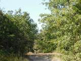 451 Hcr3335 Road - Photo 5