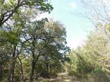 451 Hcr3335 Road - Photo 8