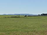 TBD Highway 36 50 Ac+/- - Photo 11