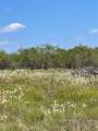 TBD County Road 3241 - Photo 4