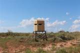 TBD 800 ACRES - Photo 2