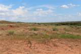TBD 800 ACRES - Photo 4