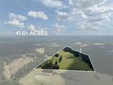 Tract 2 An County Road 153 - Photo 11