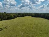 Tract 2 An County Road 153 - Photo 9