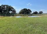 3688 Fm 1655 - Photo 16