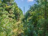 TBD Cat Road - Photo 10